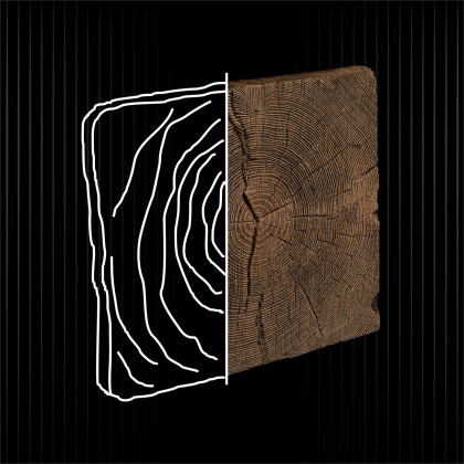 Capăt Grindă Din Lemn