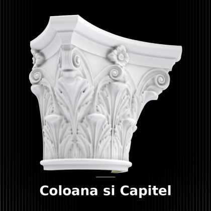 Capitel Coloană