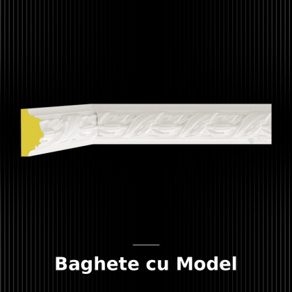 Baghete cu Model