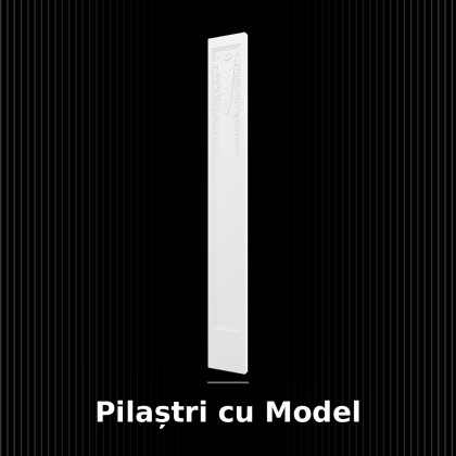 Pilaștri cu Model