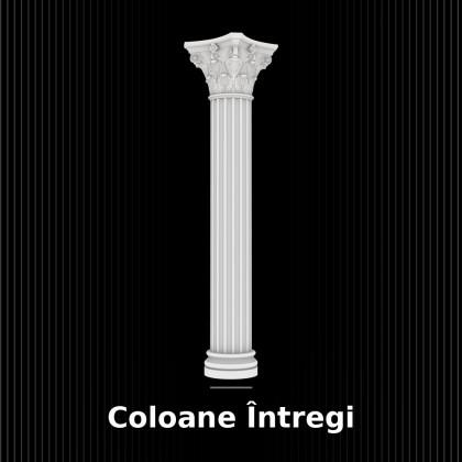 Coloane Întregi