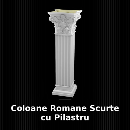 Coloane Romane Scurte cu Pilastru 