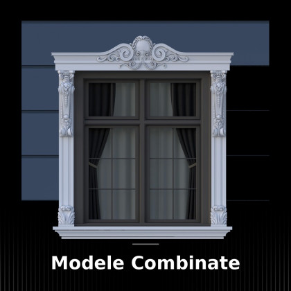 Modele Combinate Ce sunt Modele Combinate?Modele Combinate sunt produse din poliuretan care combina estetica cu functionalitatea. Acestea sunt utilizate in dive