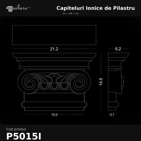 Decor interior clasic cu pilastri din poliuretan albi P5014 pe pereti, ferestre inalte si mobilier modern