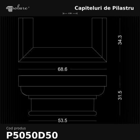 D5050D50 Pilaster Sütun Başlık