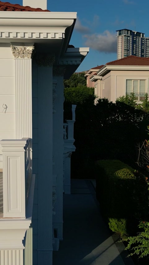 Detaliu exterior cu pilastru, capitel ornamentat și cornișă superioară