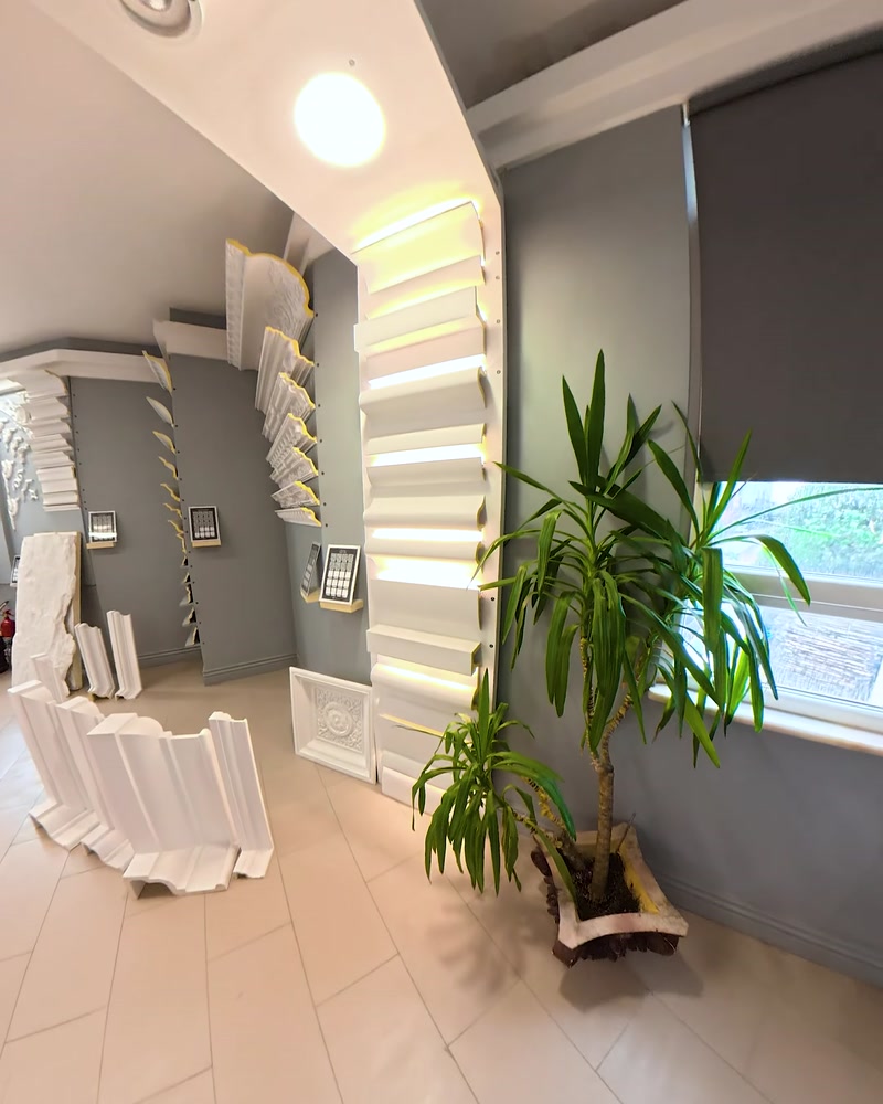 Vedere de ansamblu a showroom-ului cu coloane și plante decorative